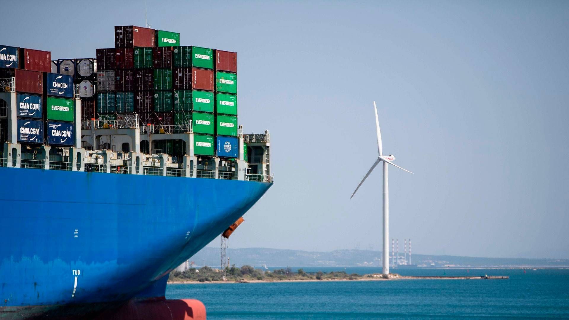 "Vi overser ofte, hvor meget fysisk kontakt der typisk skal være, før en container kan blive sendt afsted," siger professor i økonomi Philipp Schröder til Berlingske. | Foto: Clement Mahoudeau/AFP/Ritzau Scanpix