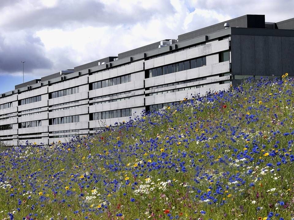 Phillips-Medisizes europæiske hovedkvarter i Struer er ikke længere virksomhedens eneste danske innovationscenter, efter selskabet nu er på plads i Virum og hyrer flere og flere medarbejdere. | Foto: Philips-Medisize