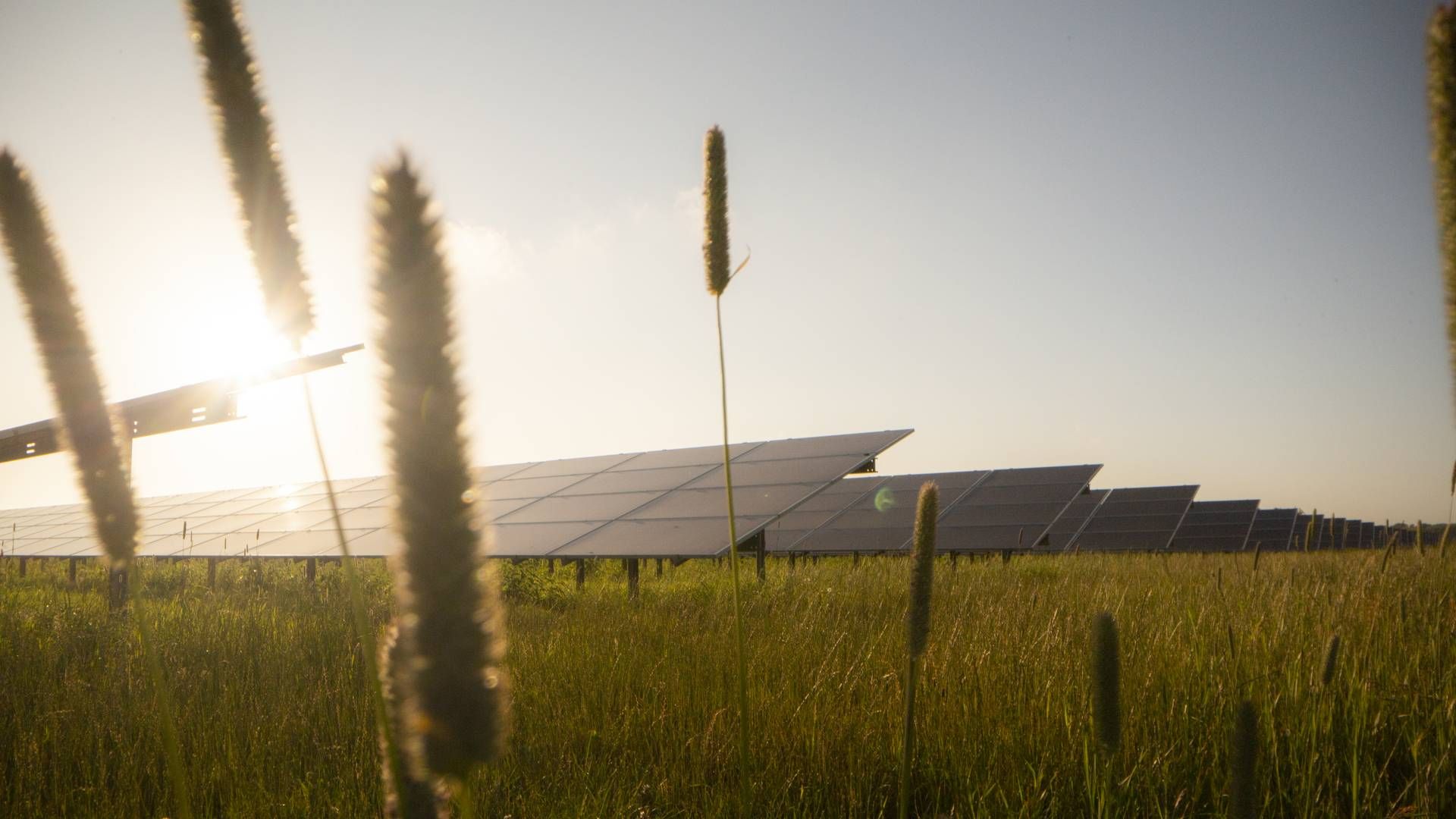 Store mængder landbrugsjord i Norddjurs Kommune vil i de kommende år blive ændret til solcellerparker. | Foto: Better Energy
