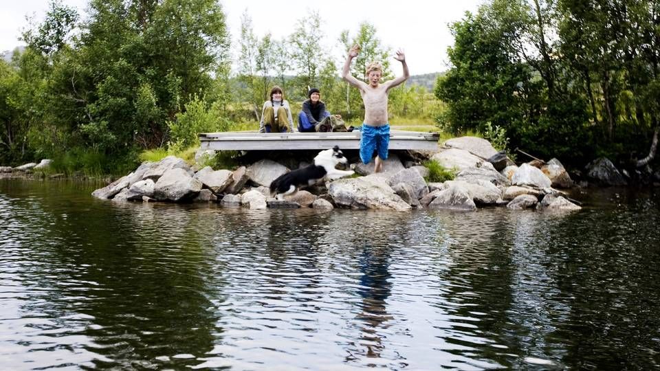 Sommer i Steigen, Nordland. | Foto: Kyrre Lien / SCANPIX