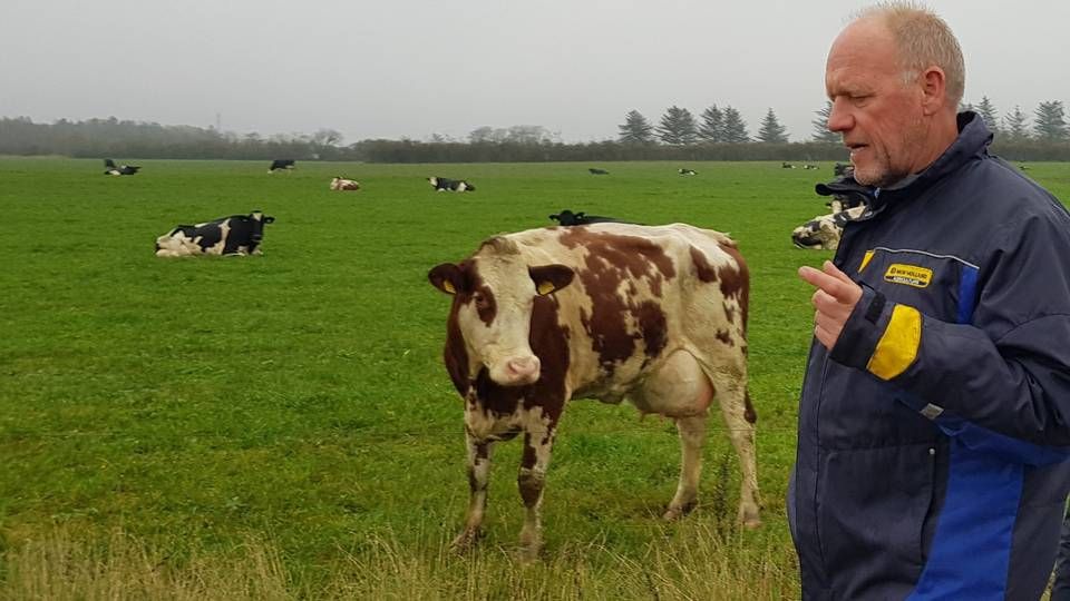 Jens Krogh, formand for Naturmælk og indehaver af landbruget Kroghsminde. | Foto: Irene Brandt-Møller/Økologisk Landsforening