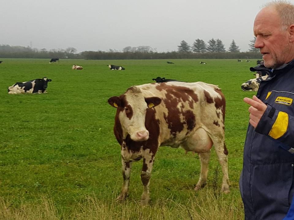 Jens Krogh, formand for Naturmælk og indehaver af landbruget Kroghsminde. | Foto: Irene Brandt-Møller/Økologisk Landsforening