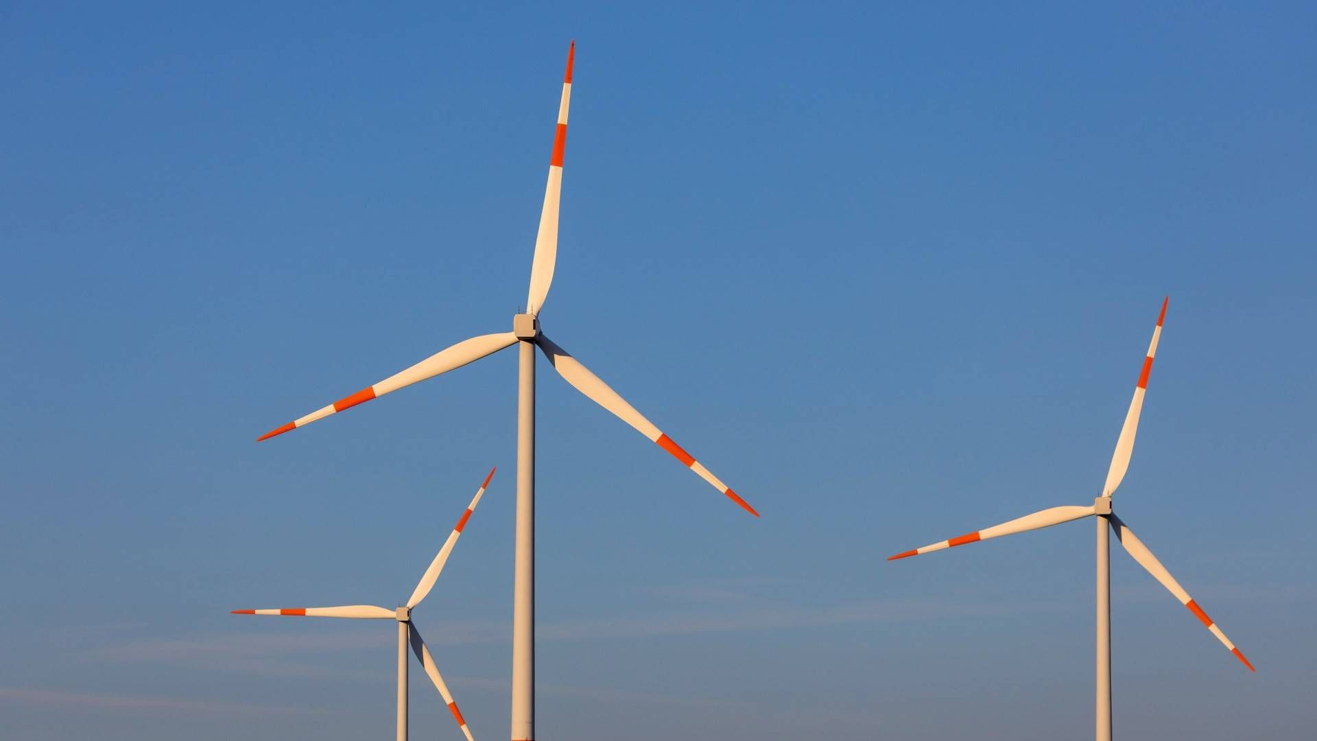 Windenergie in Brandenburg (Symbolbild) | Foto: picture alliance / Andreas Franke