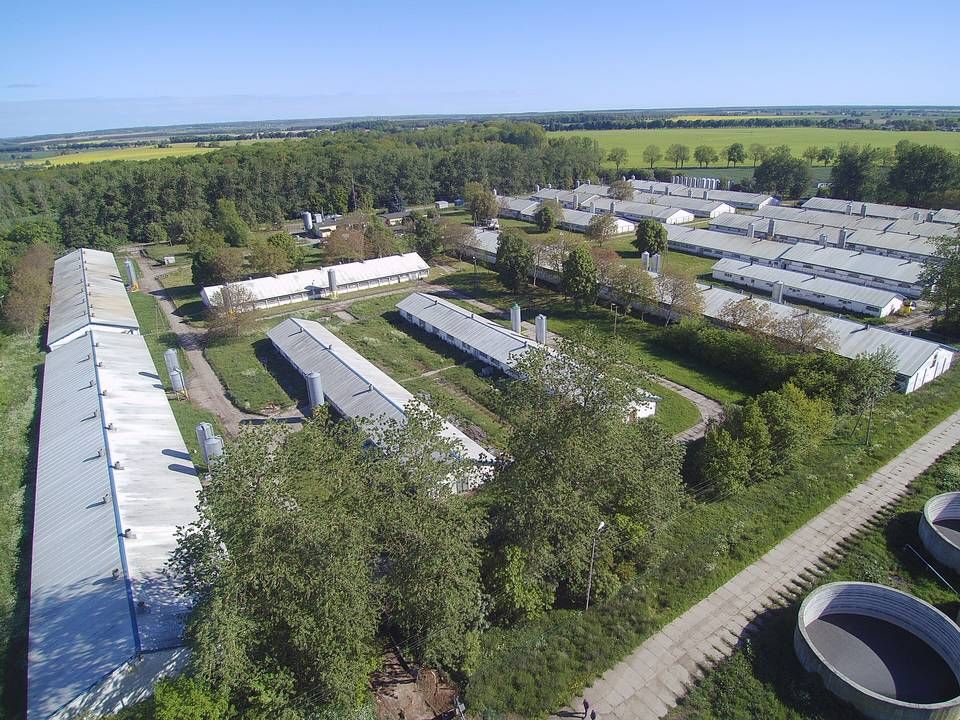 Goodvalleys nyopkøbte farm i Gniewno, Polen. En investering på omkring 50 mio. kr. med 2000 søer. | Foto: PR-foto Goodvalley