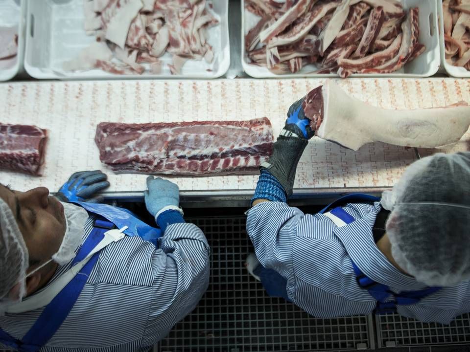 Danish Crown ser foreløbig ud til at klare sig godt gennem den krise, som udbruddet af svinepest i Tyskland har udløst. | Foto: Cicilie S. Andersen