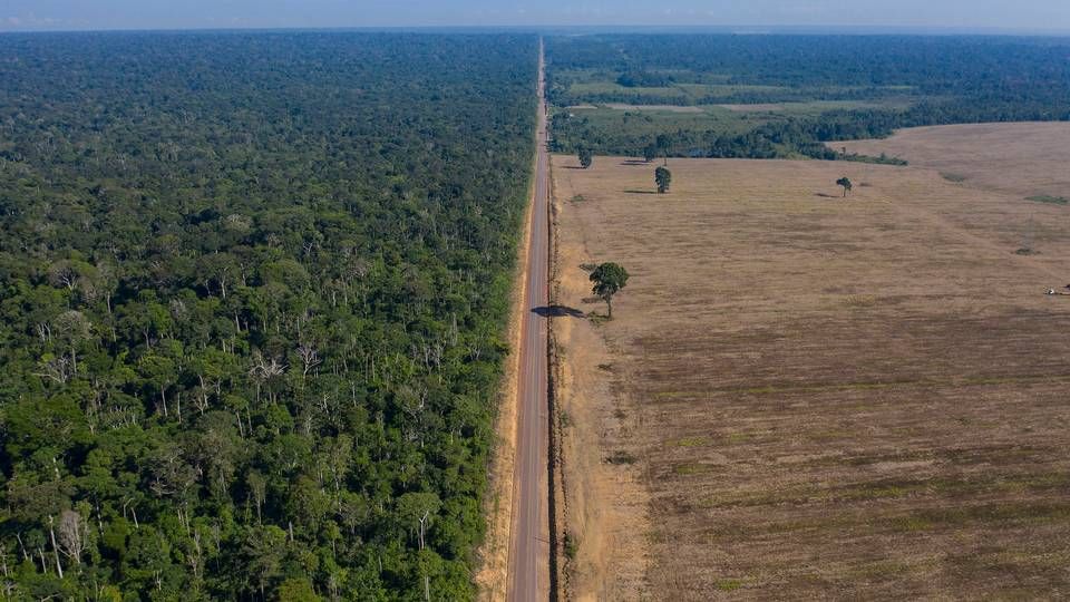 Foto: Leo Correa/AP/Ritzau Scanpix