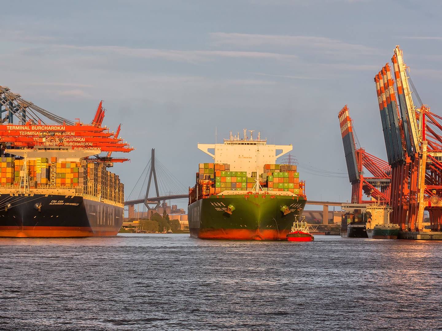 The container sector's interest group World Shipping Council warns the EU against too far-reaching measures if it decides to include shipping in the EU Emissions Trading System, ETS. | Photo: PR / Dietmar Hapenpusch / Port of Hamburg Marketing Association