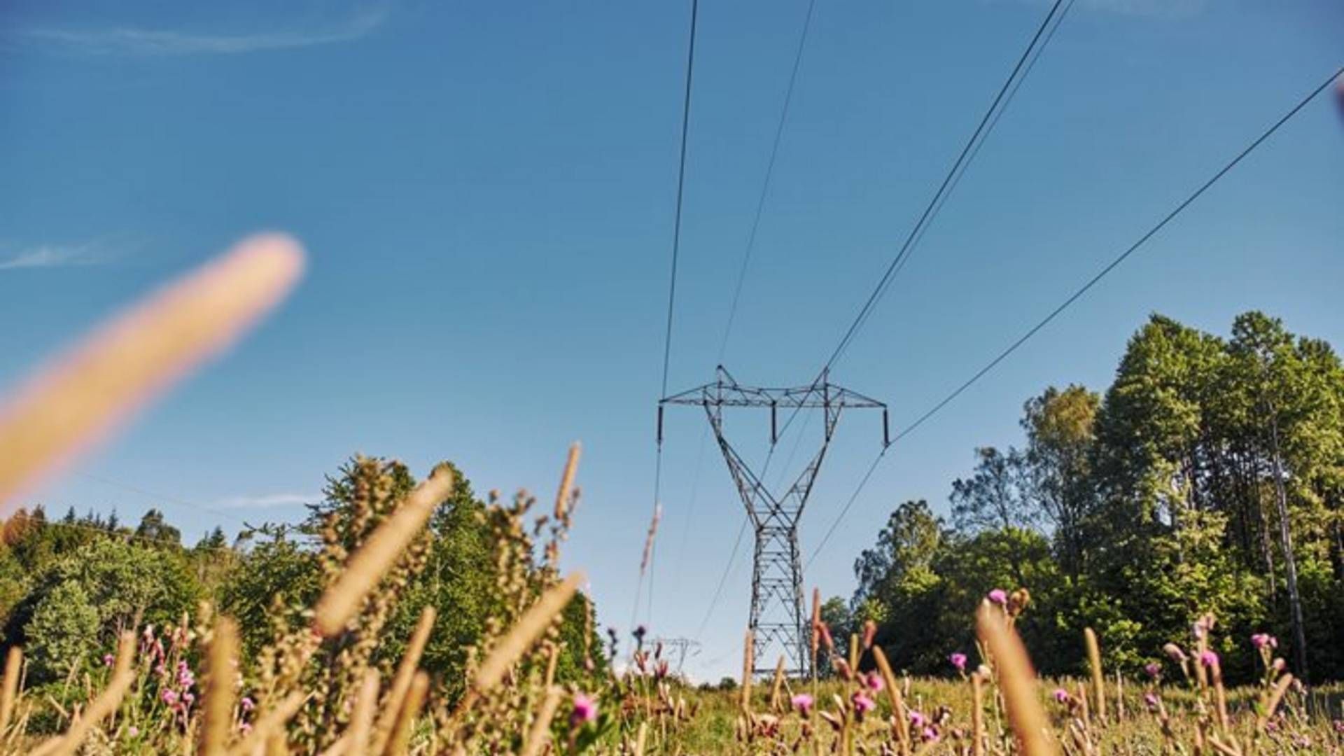 Da der i et par minutter blev sendt maksimal kapacitet gennem Nordlink, blev det nordiske synkronområde kastet ud i ubalance. | Foto: Øivind Haug / Statnett