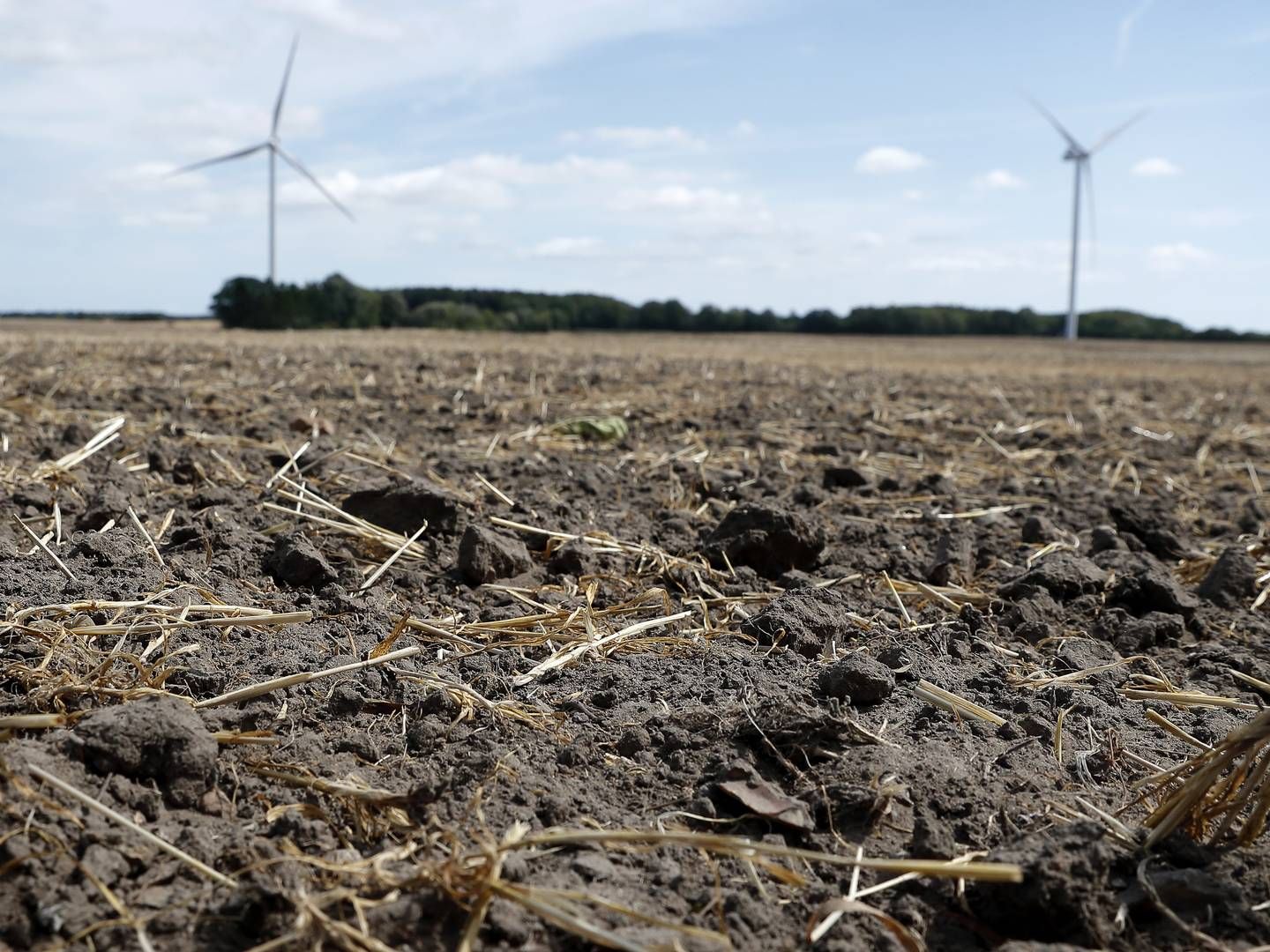 Flere tvister på grund af erstatningsfri regulering kan komme til at præge landbrugsområdet, lyder det fra chefjurister i landbrugsorganisationer. | Foto: Jens Dresling