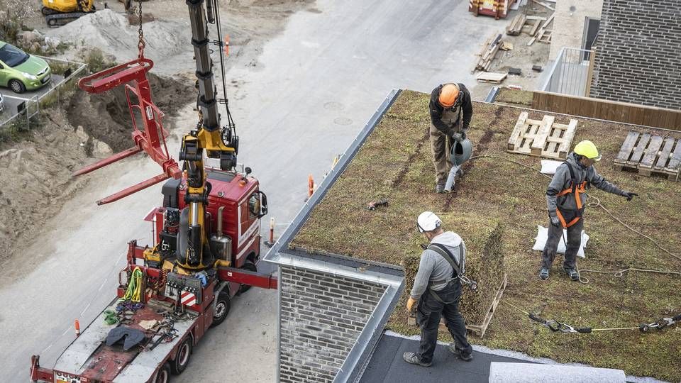 Levehuse overtager byggeriet af 41 projektboliger fra typehusfirma. | Foto: Claus Bjørn Larsen