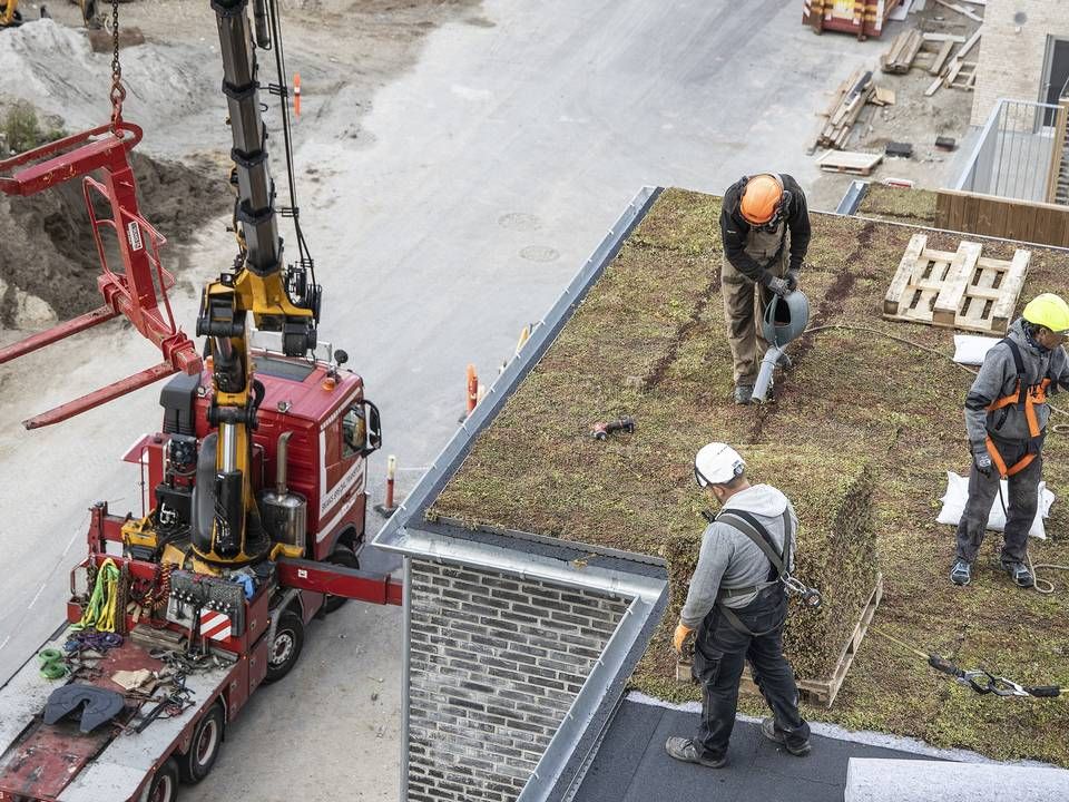 Levehuse overtager byggeriet af 41 projektboliger fra typehusfirma. | Foto: Claus Bjørn Larsen