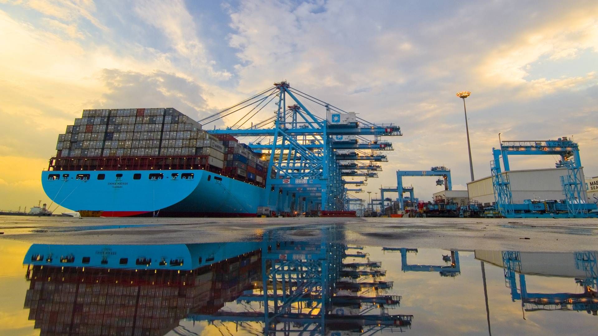 Ny digital platform skal sikre Maersk kunder også med et mindre fragtbehov. | Foto: PR / Maersk