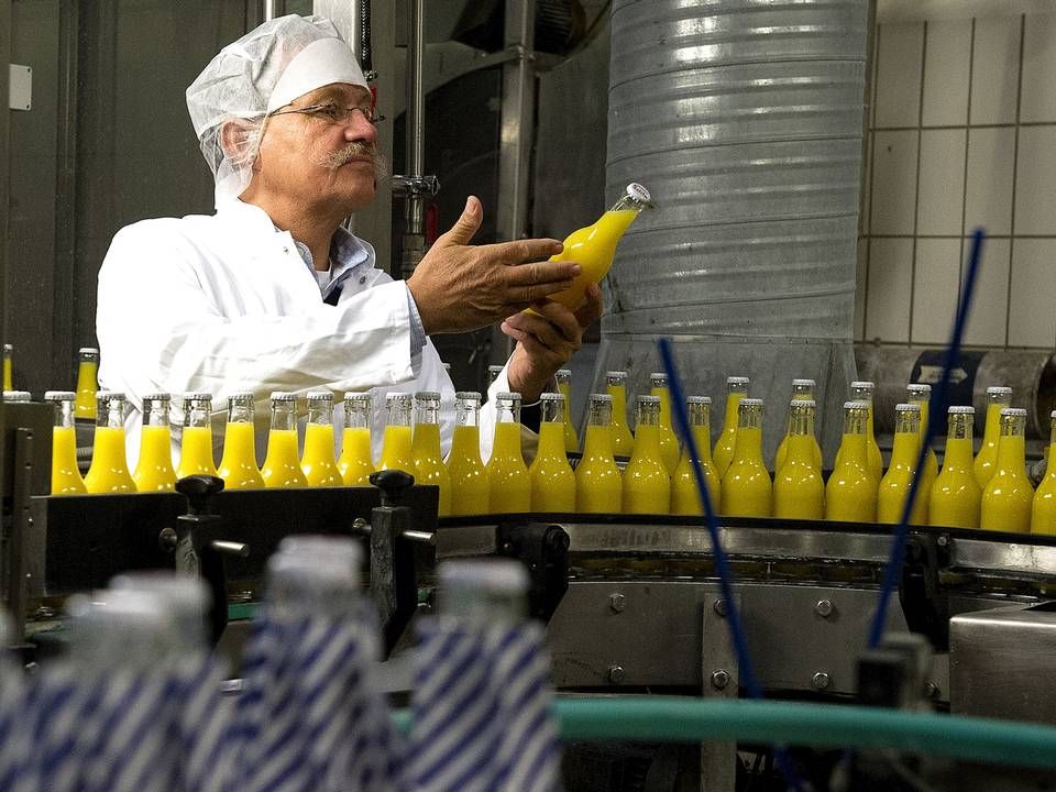 Niels Østerberg står i spidsen for frugtfirmaet Orana, som han købte i 1999. Dengang havde virksomheden 13 ansatte. I dag har den over 400. | Foto: Carsten Andreasen/ERH