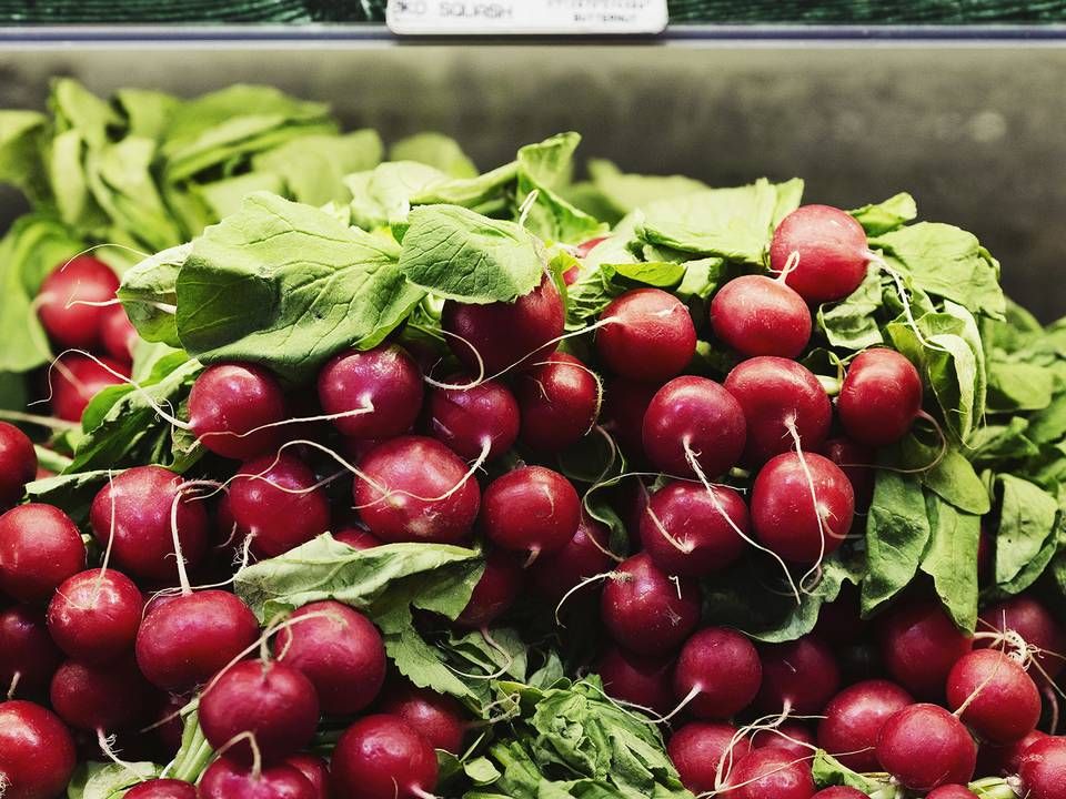 Vi drømmer om at købe flere grøntsager og mindre kød i klimaets tegn, viser undersøgelse. | Foto: PR