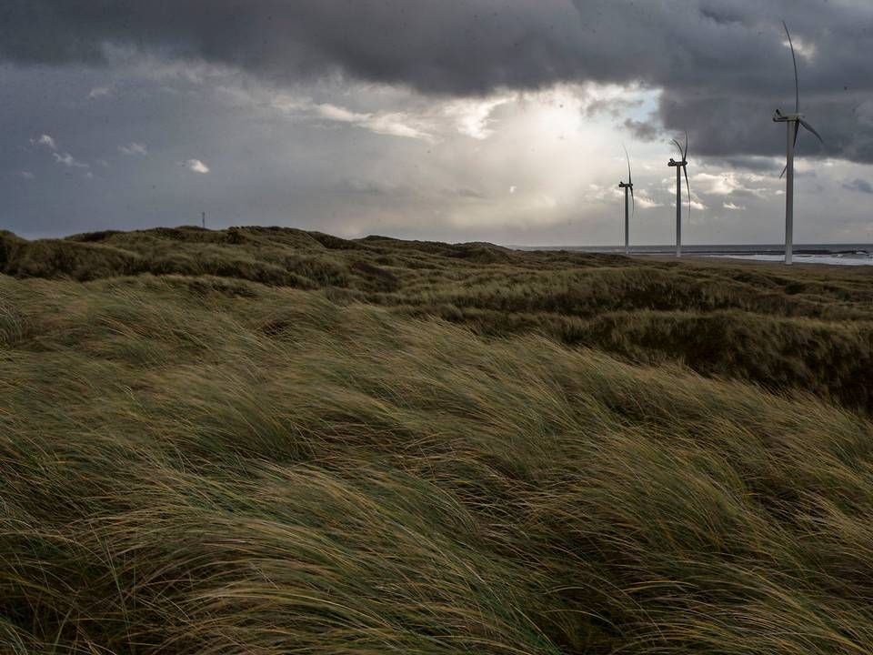 Foto: Tobias Nicolai/Jyllands-Posten/Ritzau Scanpix