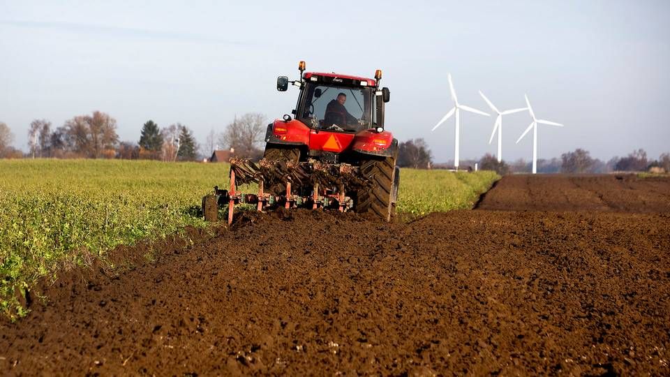 De unge landmænd i Europa kæmper for at få fat i jord og få foden under eget bord, og så længe der ikke kommer en definition på en aktiv landmand, så spænder det ben for klimaambitionerne, mener det europæiske råd for unge landmænd | Foto: Finn Frandsen/Politiken/Ritzau Scanpix