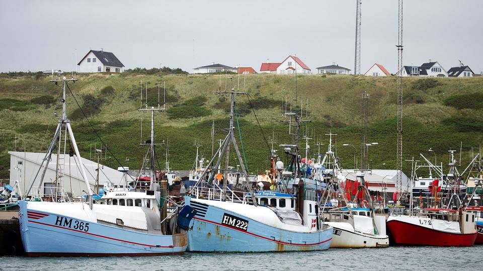 Lokalsamfund risikerer at blive hårdt påvirket af en brexit uden aftale på fiskeområdet, advarer fem borgmestre. | Foto: Thomas Borberg/Ritzau Scanpix