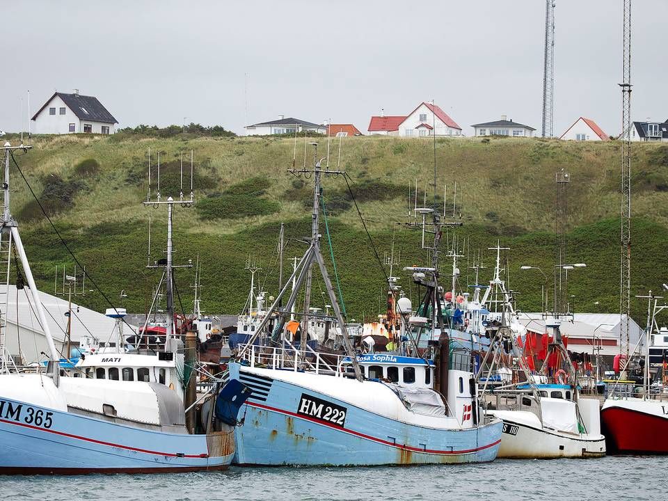 Lokalsamfund risikerer at blive hårdt påvirket af en brexit uden aftale på fiskeområdet, advarer fem borgmestre. | Foto: Thomas Borberg/Ritzau Scanpix