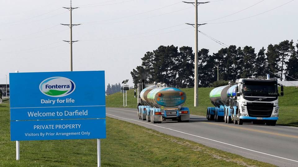De newzealandske mælkeproducenter kommer mere i fokus hos mejerikoncernen Fonterra. | Foto: Mark Baker/AP/Ritzau Scanpix