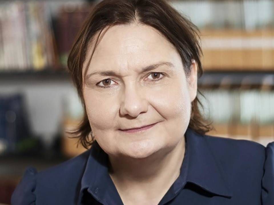Jurist Louise Holck tiltræder som direktør for Institut for Menneskerettigheder 15. oktober 2020. | Foto: Institut for Menneskerettigheder / PR
