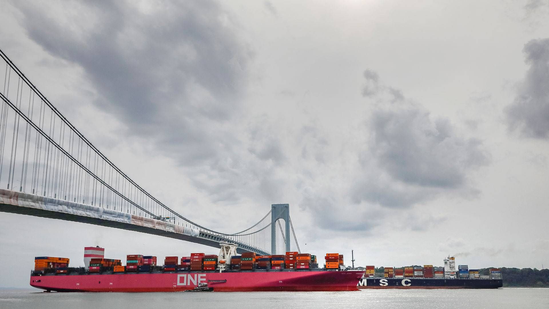 Efterspørgslen på traditionel skibsbrændstof vil ikke komme til at ændre sig synderligt frem mod 2045, mener Opec. | Foto: Brendan Mcdermid/Reuters/Ritzau Scanpix