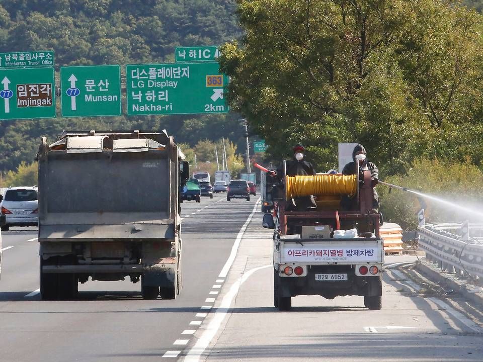 Sydkoreanske myndigheder sprøjtede med disinficerende midler nær grænsen til Nordkorea i frygt for afrikansk svinepest. Fotoet er fra oktober 2019. | Foto: Ahn Young-Joon/AP/Ritzau Scanpix