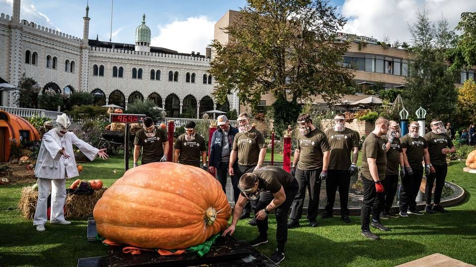 Efterårsåbent i Tivoli med DM i kæmpegræskar - 970,4 kilo. | Foto: Emil Helms/Ritzau Scanpix