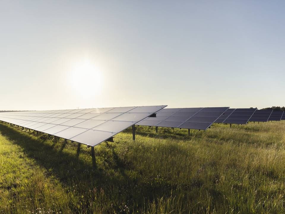 Oprindelsesgarantier modarbejder en grøn omstilling på markedsvilkår, siger den danske soludvikler Better Energy. | Foto: Better Energy