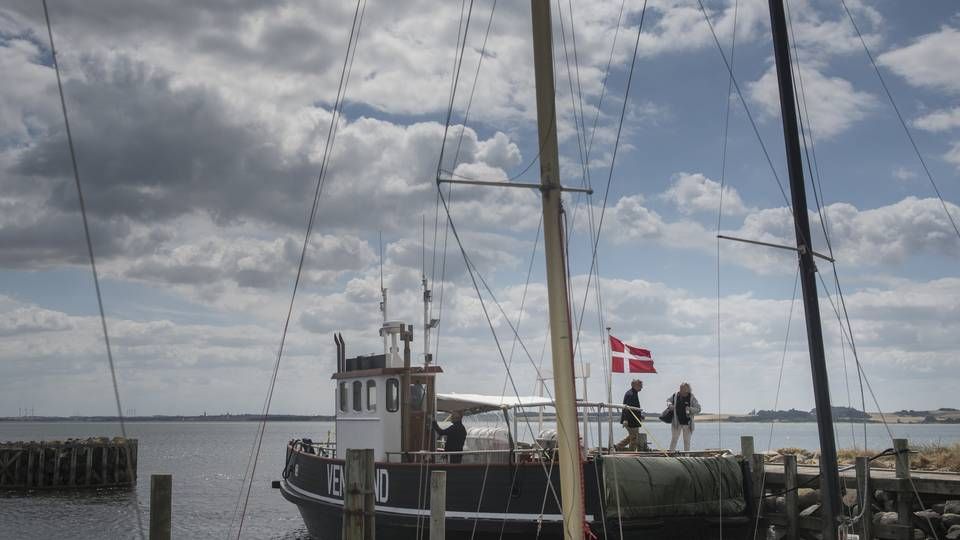 På Venø ved Struer er der lagt op til stor østersproduktion når restauranterne igen får gæster ved bordene. | Foto: Laura Bisgaard Krogh/KULTUR