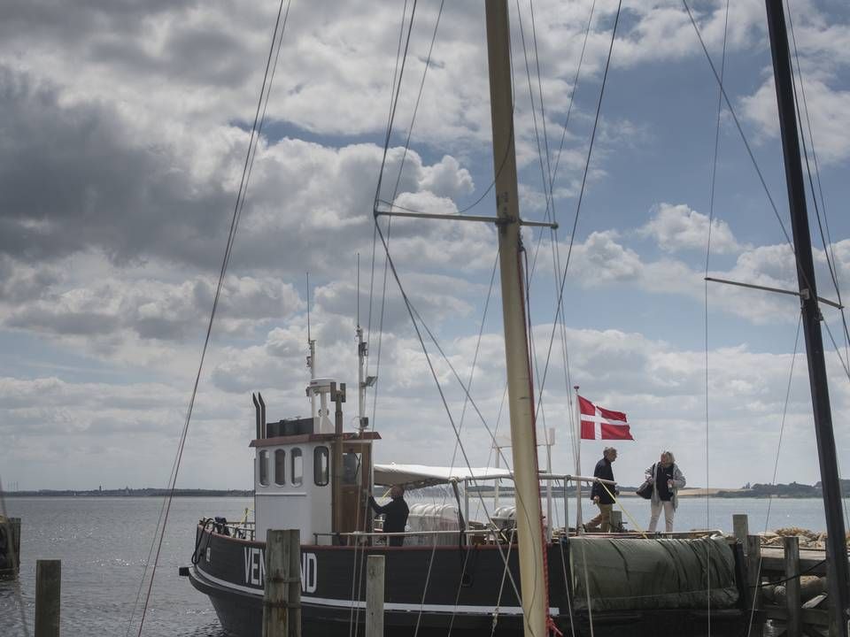 På Venø ved Struer er der lagt op til stor østersproduktion når restauranterne igen får gæster ved bordene. | Foto: Laura Bisgaard Krogh/KULTUR