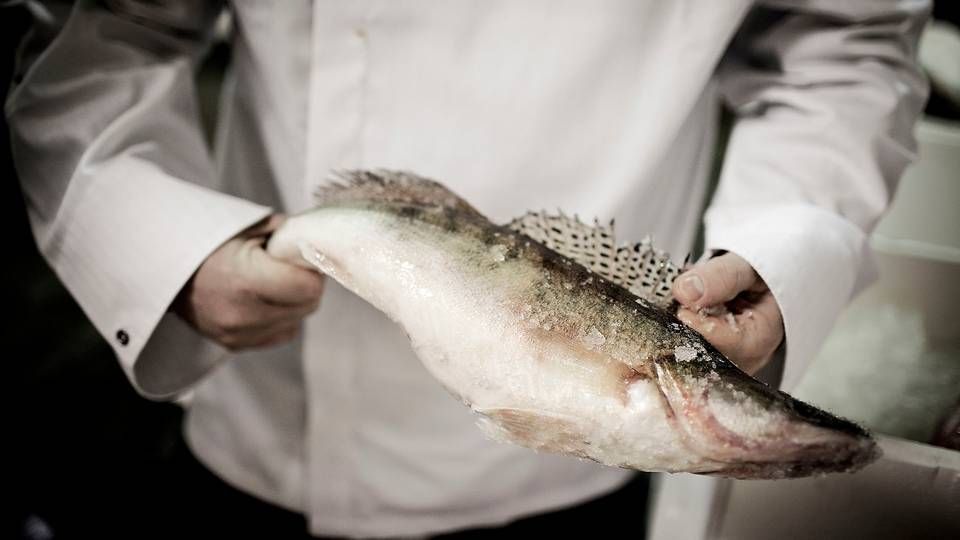 Der skal gøres en større indsats for at sikre fisk i høj kvalitet og med en god historie bag, lyder det fra fiskegrossist. | Foto: Magnus Holm/Politiken/Ritzau Scanpix