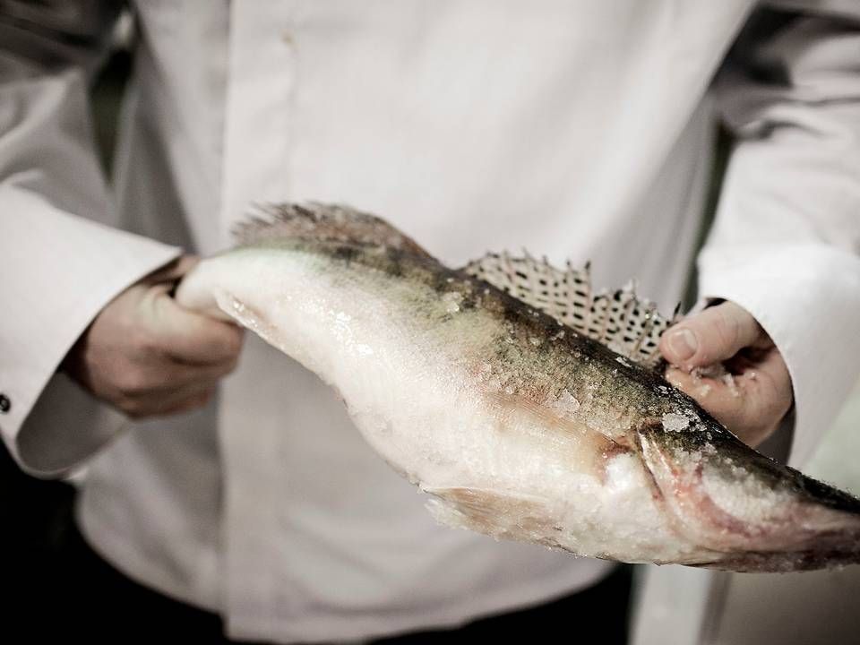 Der skal gøres en større indsats for at sikre fisk i høj kvalitet og med en god historie bag, lyder det fra fiskegrossist. | Foto: Magnus Holm/Politiken/Ritzau Scanpix