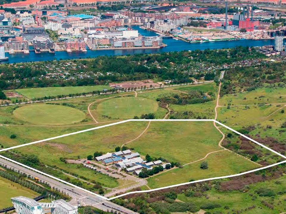 Det nye byområde Vejlands Kvarter kommer til at ligge på naturområdet Amager Fælled i København. | Foto: PR/By & Havn