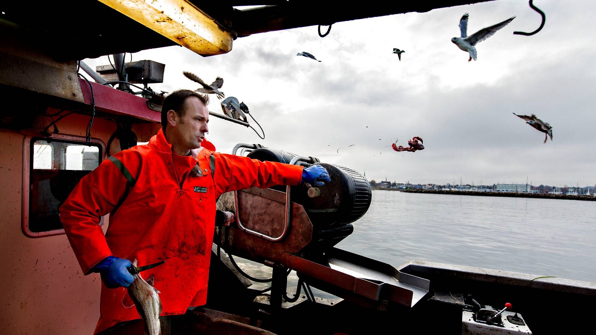 Foreningen for Skånsomt Kystfiskeri foreslår drastisk omlægning af fiskeriet for at sikre bestande og økonomien. Her er et arkivbillede af formand Søren Jacobsen. | Foto: Jacob Ehrbahn/Politiken/Ritzau Scanpix