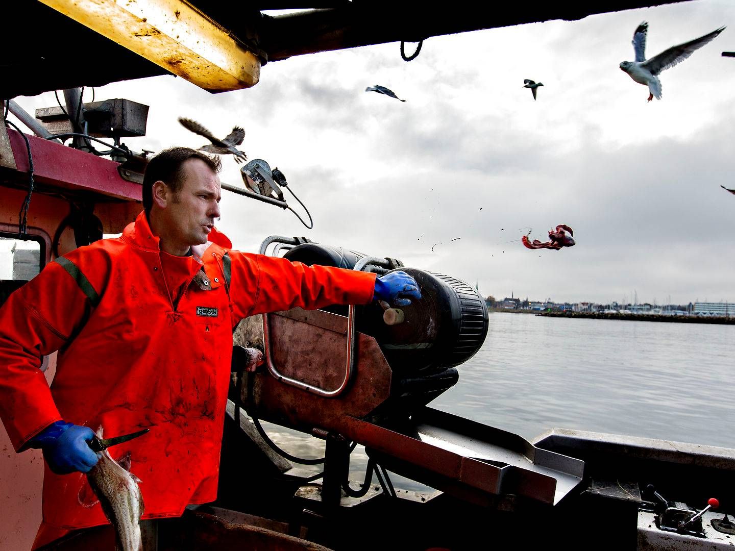 Foreningen for Skånsomt Kystfiskeri foreslår drastisk omlægning af fiskeriet for at sikre bestande og økonomien. Her er et arkivbillede af formand Søren Jacobsen. | Foto: Jacob Ehrbahn/Politiken/Ritzau Scanpix