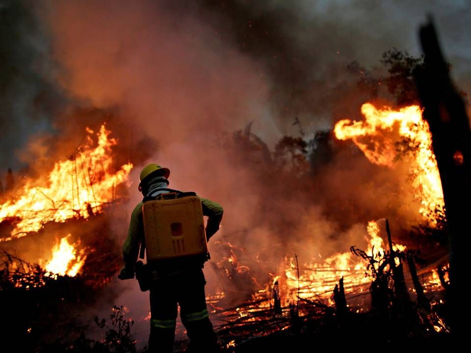 Foto: Ueslei Marcelino/Reuters/Ritzau Scanpix