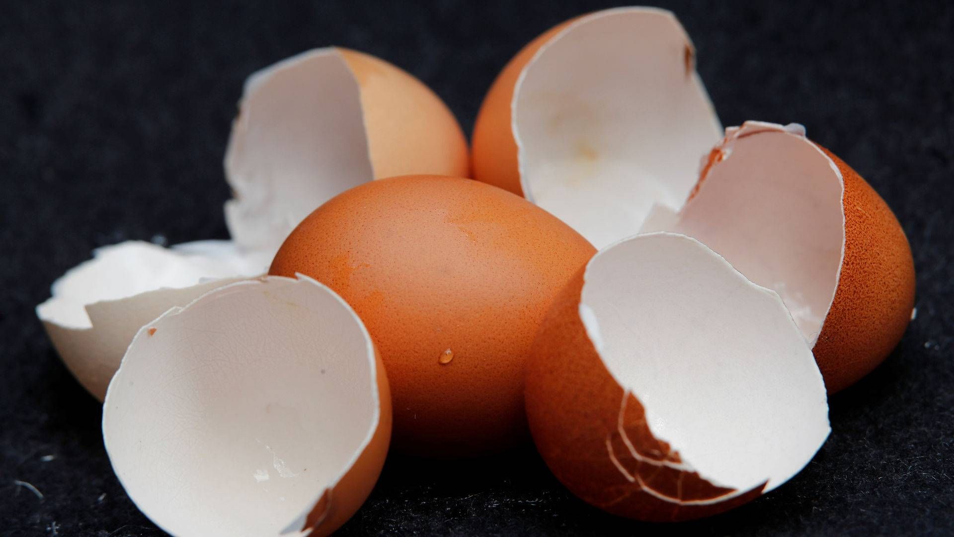 Salget af æg har været stigende i coronatiden, hvilket smitter positivt af på æggebakkevirksomheden Brdr. Hartmann. | Foto: Wolfgang Rattay/Reuters/Ritzau Scanpix