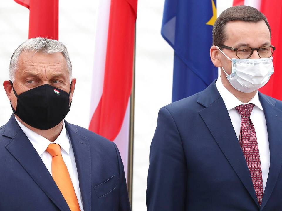 Den ungarnske premierminister Viktor Orban og hans polske kollega Mateusz Morawiecki er i meget lav kurs hos deres europæiske kolleger, som de skal holde videokonferece med i aften. | Foto: Czarek Sokolowski/AP/Ritzau Scanpix