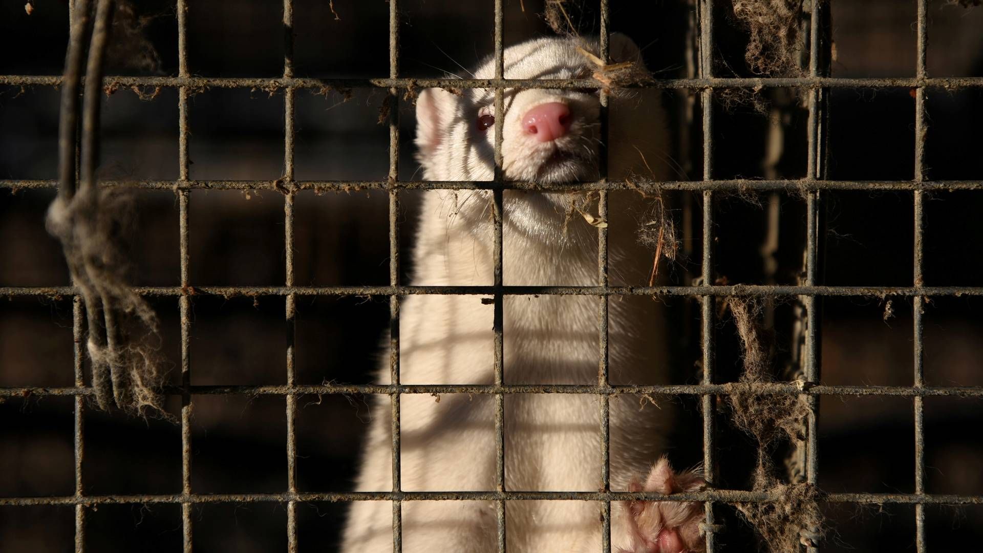 Foto: Alexandros Avramidis/REUTERS/Ritzau Scanpix