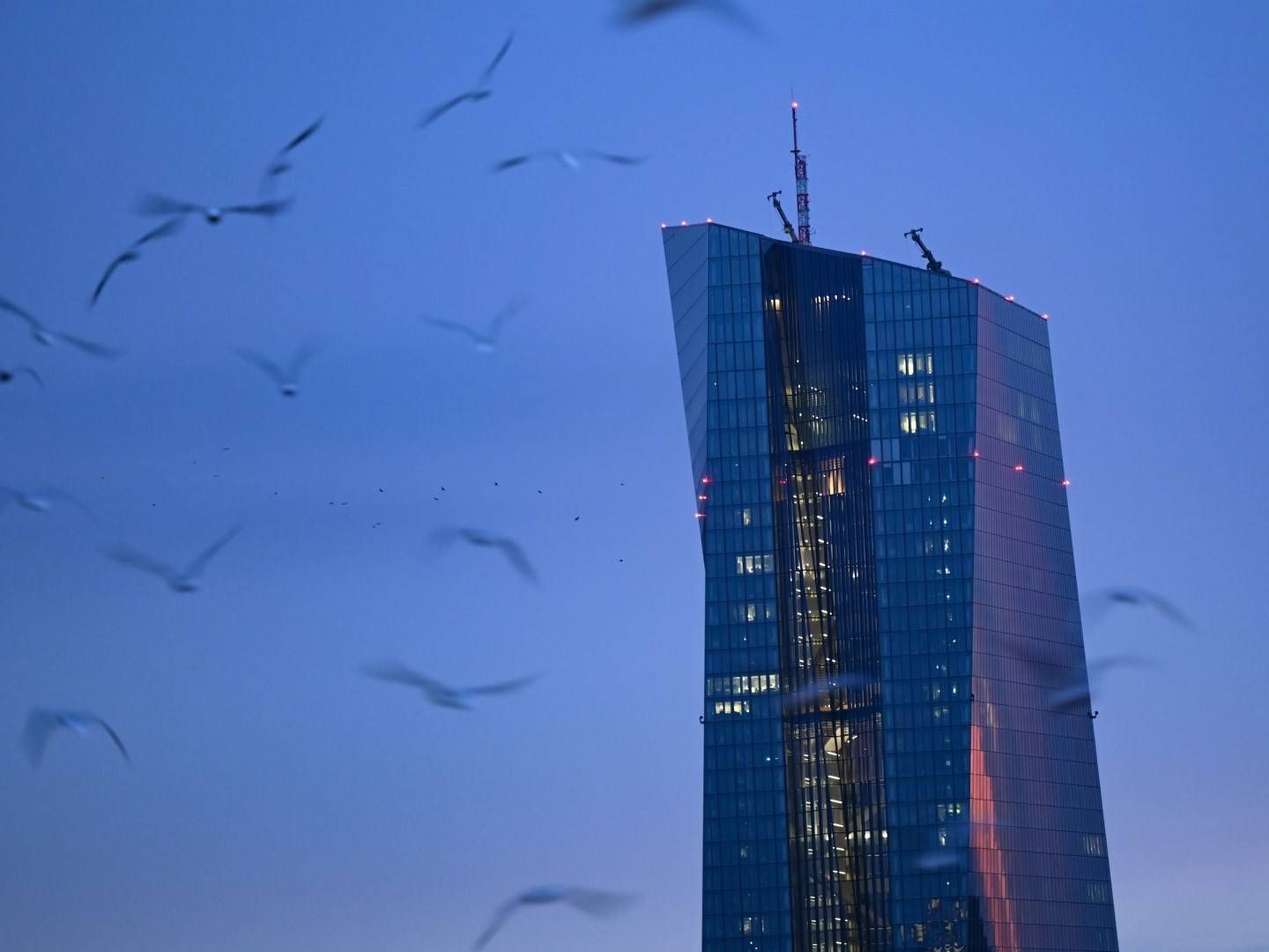Die Europäische Zentralbank in Frankfurt. | Foto: picture alliance/Arne Dedert/dpa