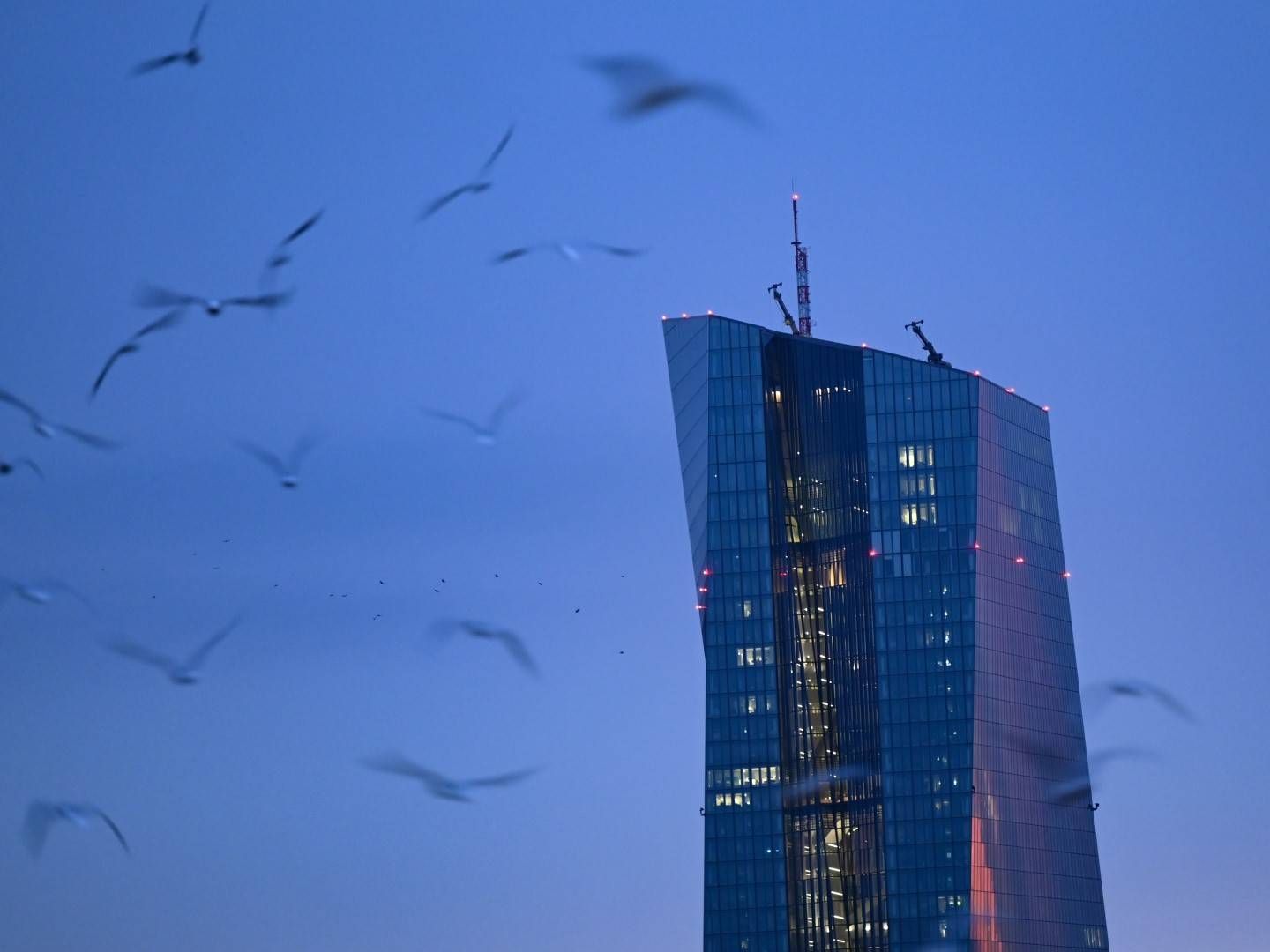 EZB-Gebäude in Frankfurt am Main | Foto: picture alliance/Arne Dedert/dpa