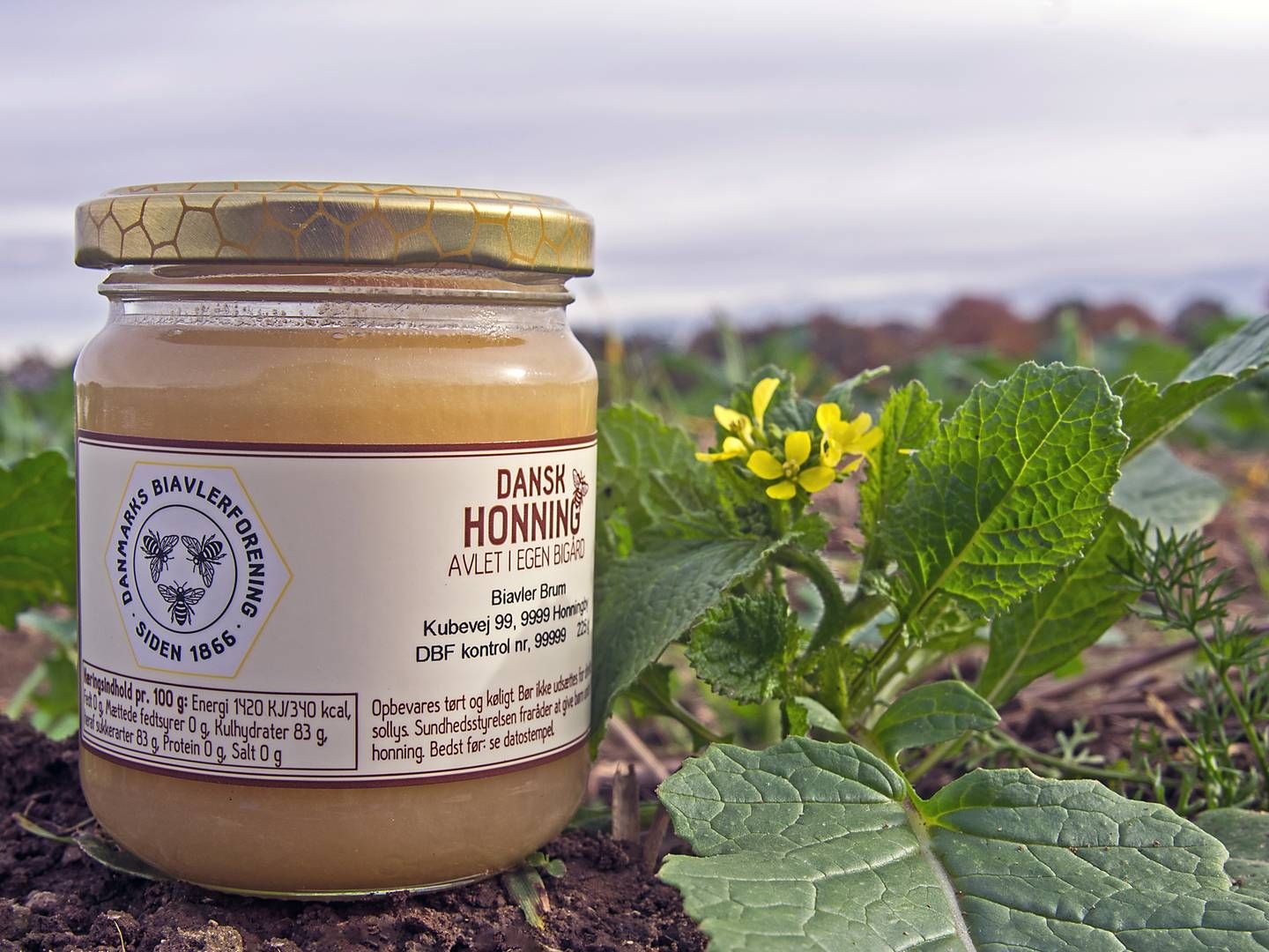 Det nye mærke fra Danmarks Biavlerforening skal tydeliggøre overfor forbrugeren, hvorvidt de er i færd med at købe honning fra bier der har lavet honning i Danmark eller udlandet. | Foto: Presse / Danmarks Biavlerforening