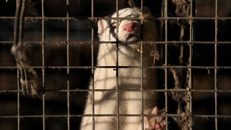 Foto: Alexandros Avramidis/REUTERS/Ritzau Scanpix