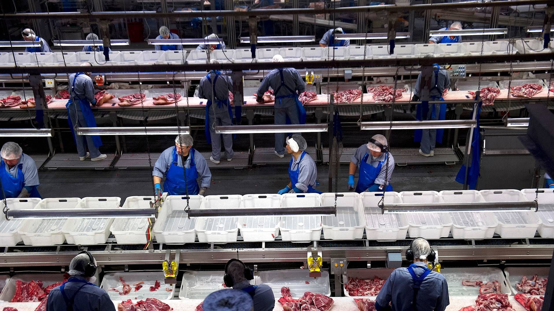 Produktionslinjer på slagteriet i Horsens | Foto: Carsten Andreasen/Ritzau Scanpix