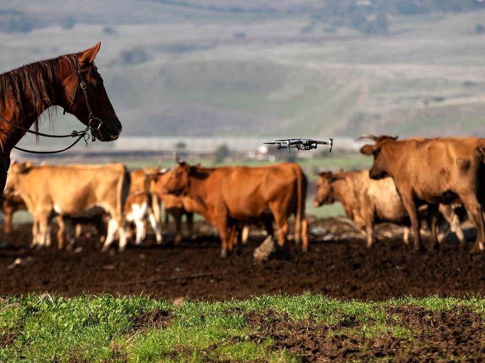 Foto: Ronen Zvulun/Reuters/Ritzau Scanpix