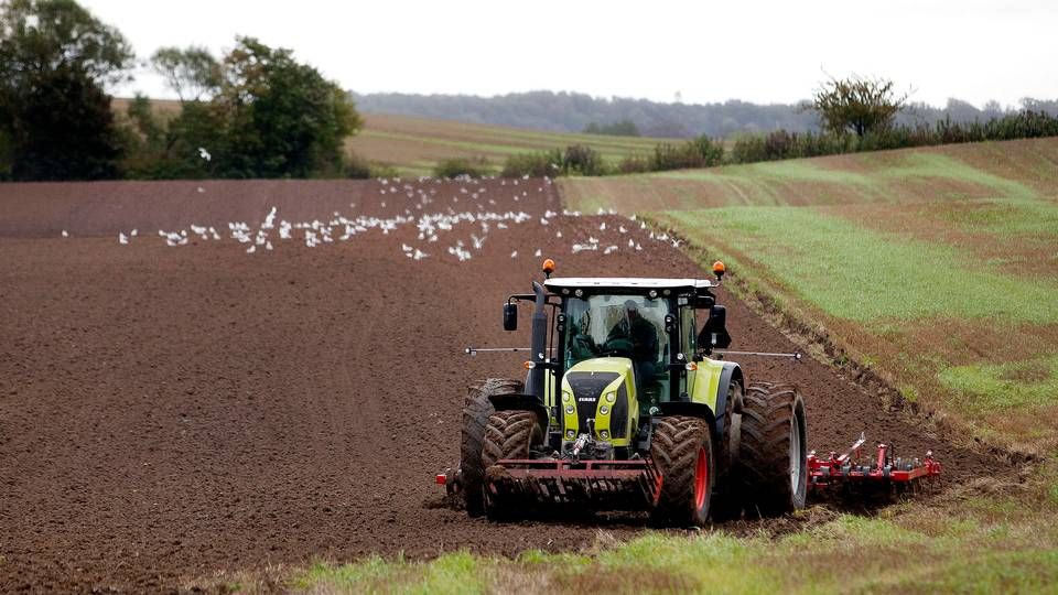 Et tysk selskab opkøber dansk landbrugsjord. | Foto: Finn Frandsen/Politiken/Ritzau Scanpix