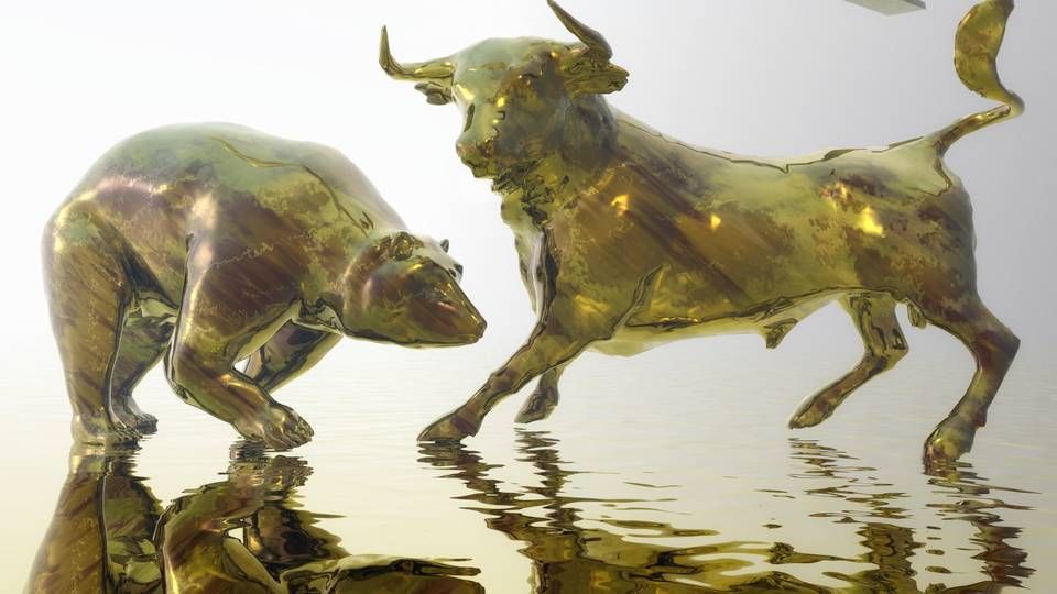 Bulle und Bär regieren die Märkte | Foto: dpa Picture Alliance