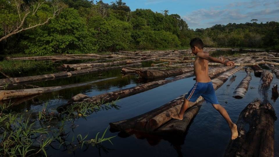 En dreng hopper på tømrerstokke på Manacapuru-floden i Amazonas. I alt er der fjernet et Amazonas-skovområde på størrelse med Spanien - 513.016 kvadratkilometer - på to årtier, hedder det i en ny rapport fra Amazon-miljønetværket, Raisg. | Foto: Ricardo Oliveira/Ritzau Scanpix