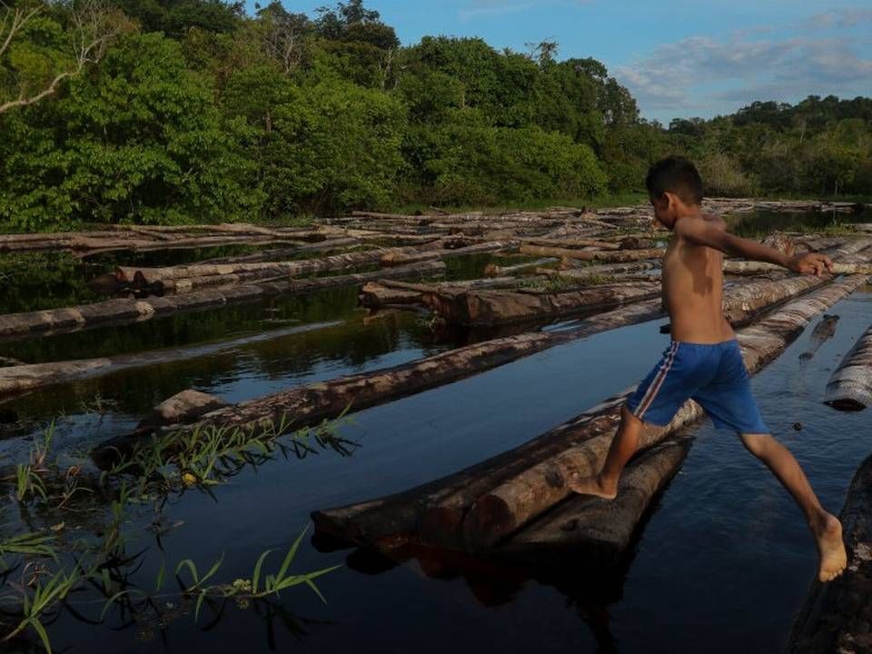 En dreng hopper på tømrerstokke på Manacapuru-floden i Amazonas. I alt er der fjernet et Amazonas-skovområde på størrelse med Spanien - 513.016 kvadratkilometer - på to årtier, hedder det i en ny rapport fra Amazon-miljønetværket, Raisg. | Foto: Ricardo Oliveira/Ritzau Scanpix