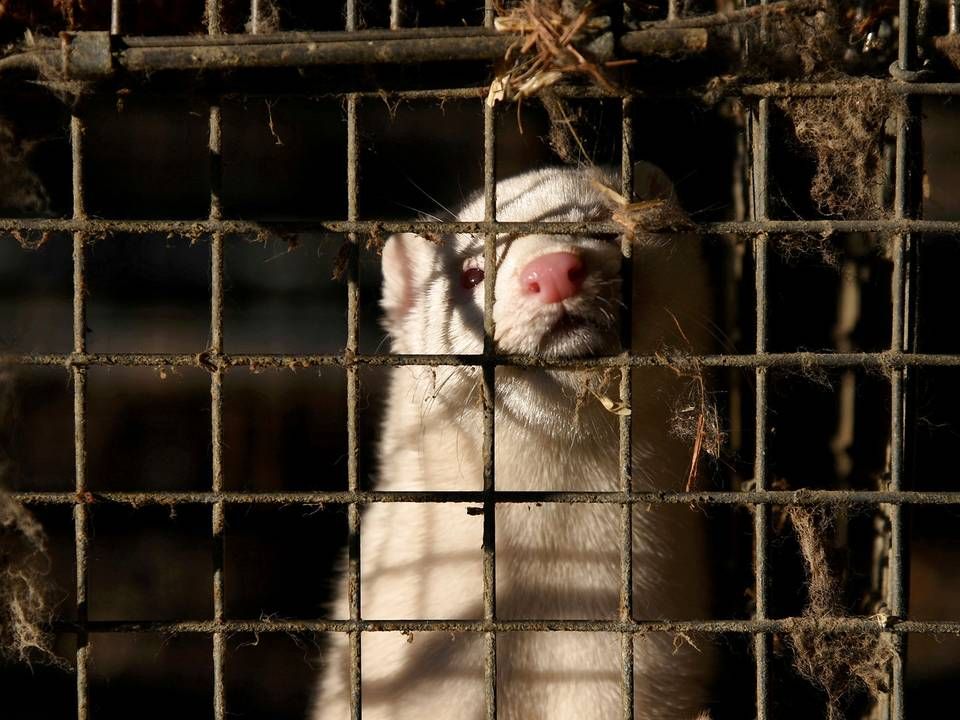 Foto: Alexandros Avramidis/Reuters/Ritzau Scanpix